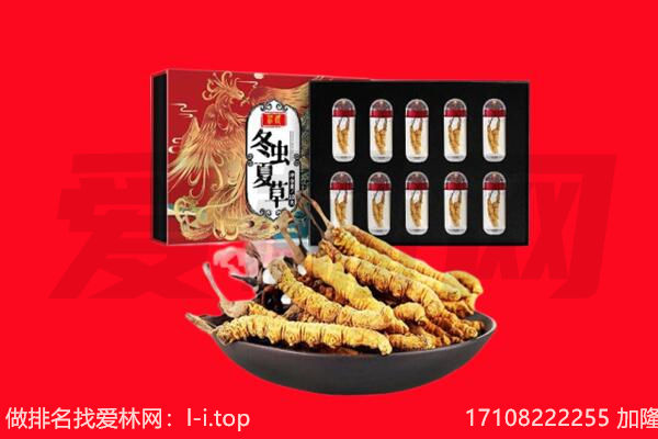 吉林市桦甸回收虫草.jpg
